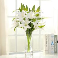uploads/erp/collection/images/Home Garden/CongDing/XU0612523/img_b/XU0612523_img_b_1